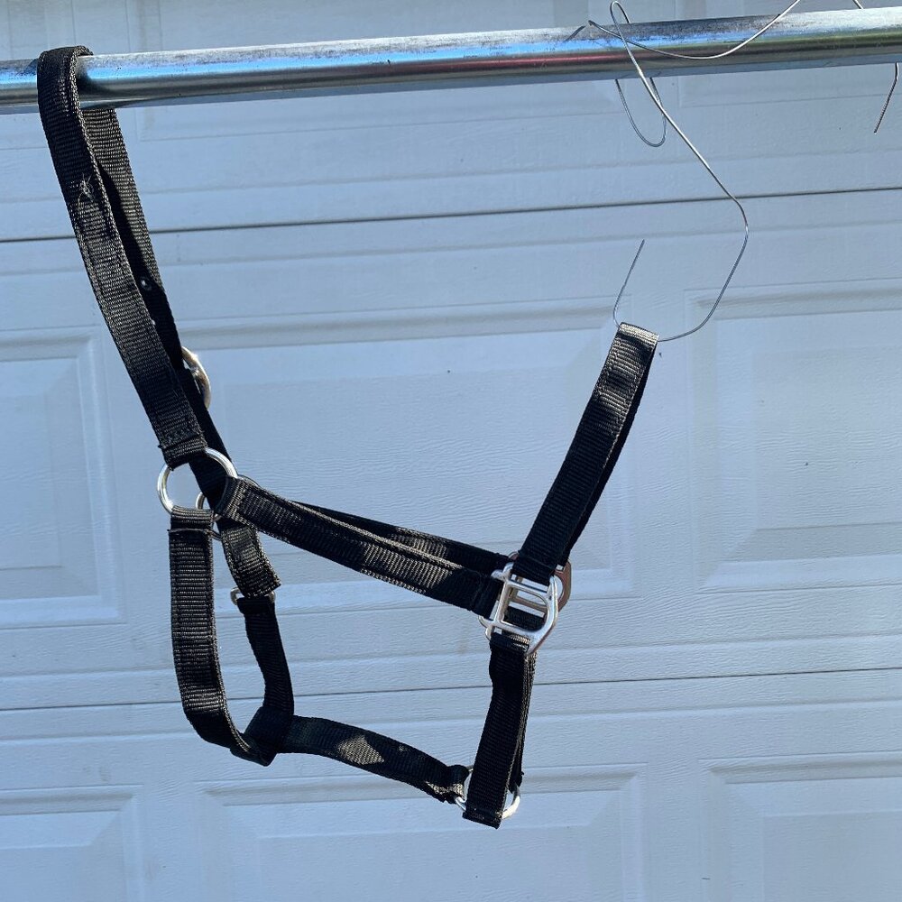 Black Nylon Horse Halter; Large